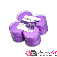 Teelichter True Scents - Clear Cup MAXI 8 Stk. in 6 Düften 8h / 60mm