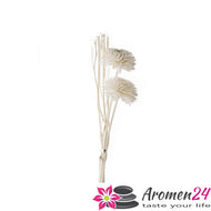 Vogel Frei Ginster Diffuser Stick mit Blume - Raumduft-Stäbchen in 4 Varianten